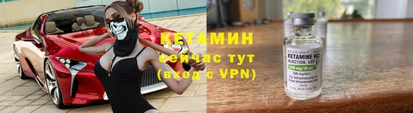 дурь Бородино