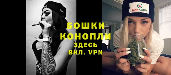 дурь Бородино
