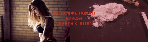 ГАЛЛЮЦИНОГЕННЫЕ ГРИБЫ Богданович