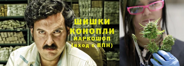 стаф Бронницы