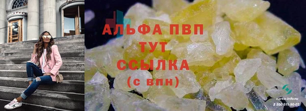 Альфа ПВП Бугульма