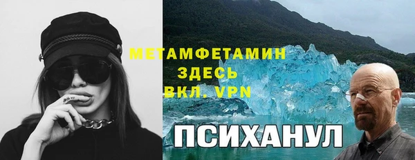 дурь Бородино