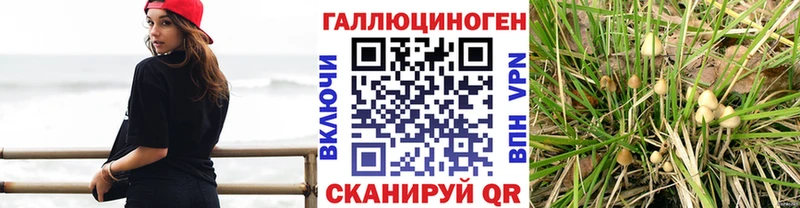 Псилоцибиновые грибы Psilocybine cubensis  сайты даркнета состав  Горнозаводск 